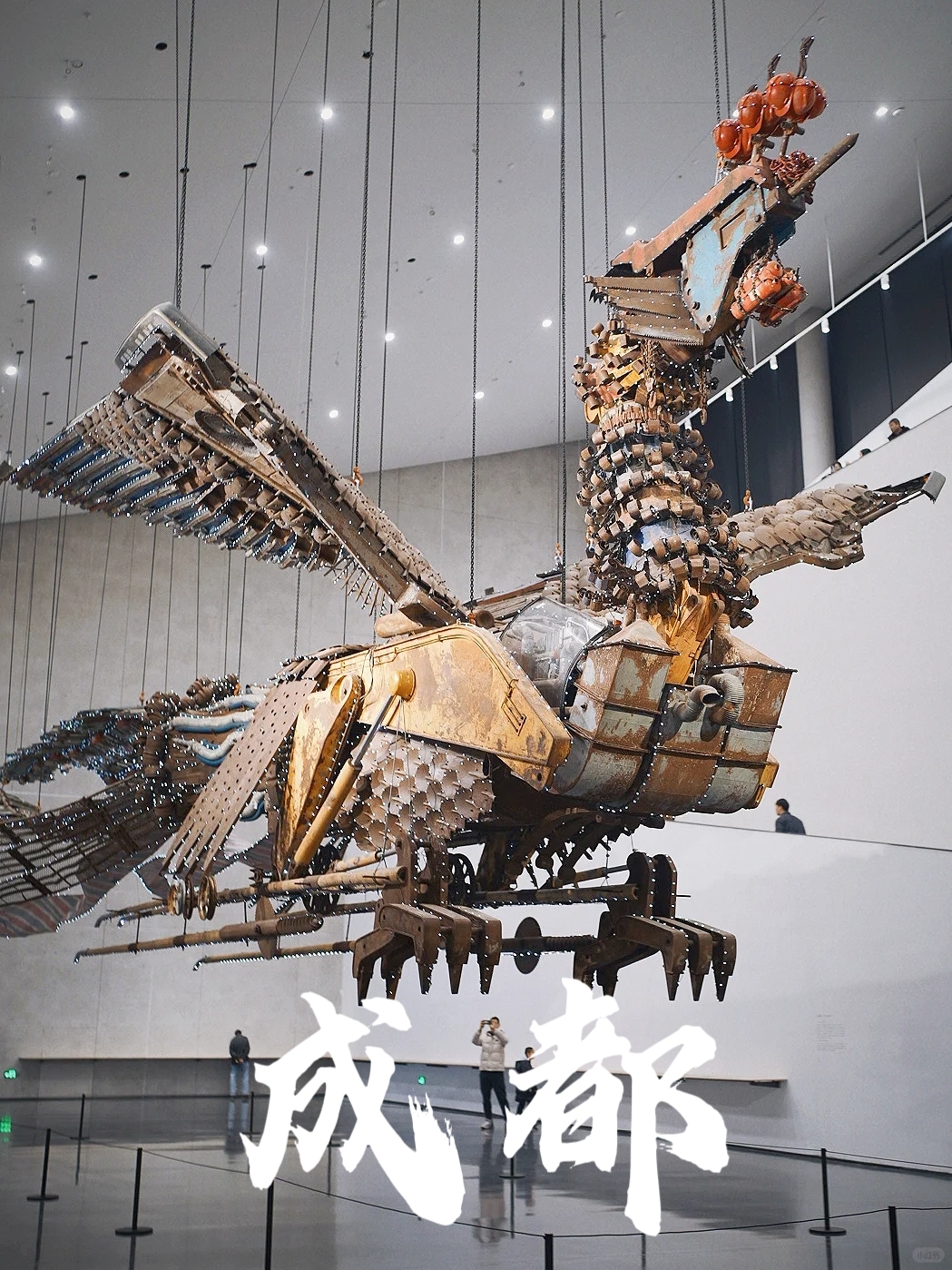 队员们在球场上尽展技能，给观众带来视觉盛宴