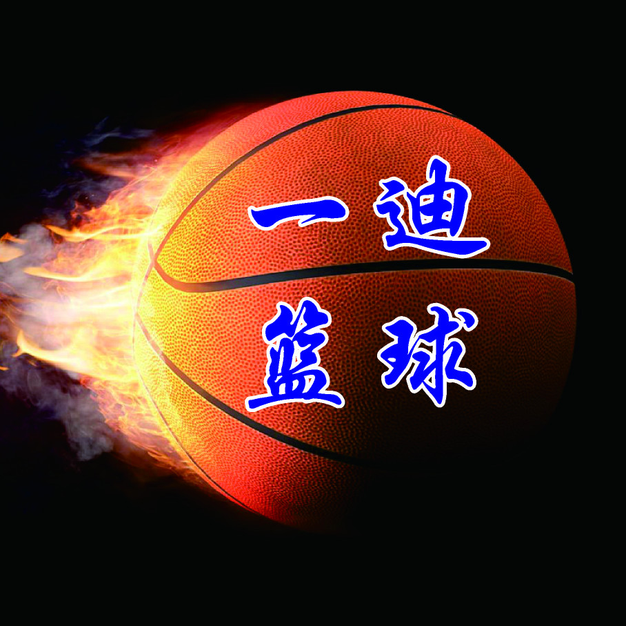 夺冠之路，球队奋力拼搏争取最终荣耀