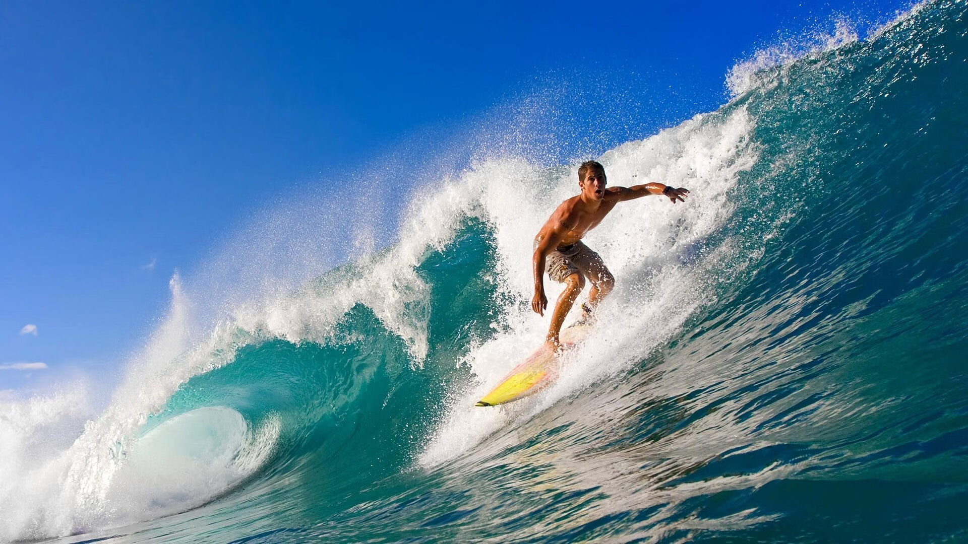 新王破城,旧日神迹,爱德华兹的统治之夜与勇士王朝的续章